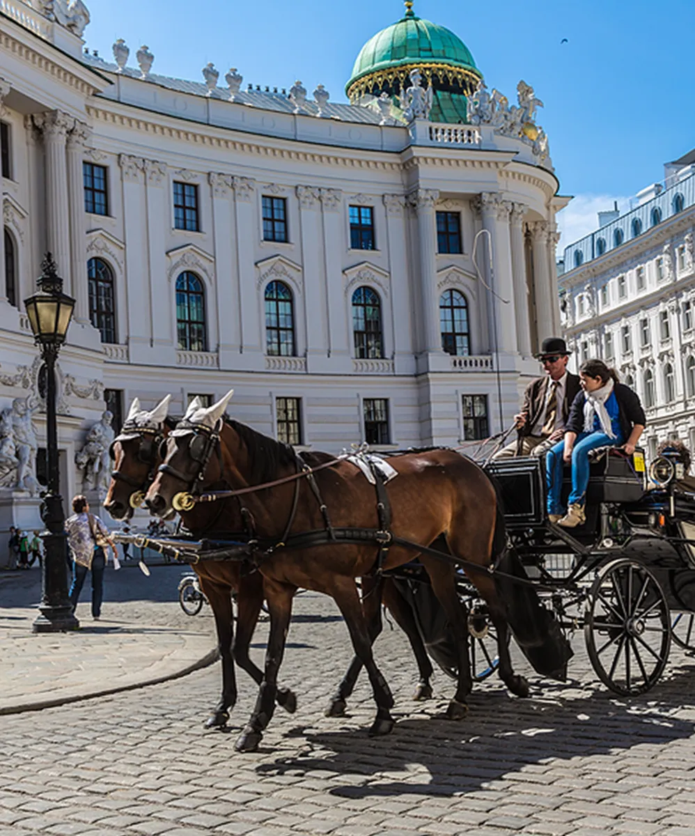 Fiaker mit 2 Pferden und Kutsche in Wien